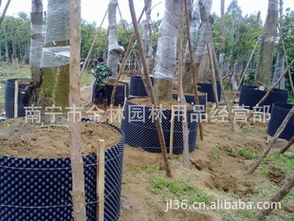 批發苗木專用控根器 控根快速育苗容器選購指南與廠商推薦